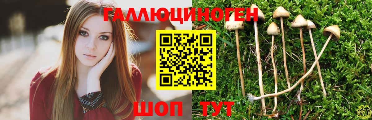 Галлюциногенные грибы GOLDEN TEACHER  Вход с VPN  Екатеринбург  Галлюциногенные грибы MAGIC MUSHROOMS 